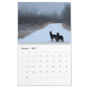 Deutscher Abenteuerkalender Kalender (Feb 2027)