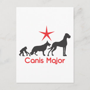 Deutscher Dogge Canis Major Postkarte