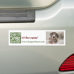 Deutscher Doggen-Welpe zu verkaufen Autoaufkleber