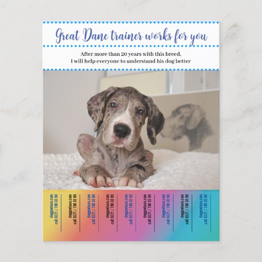 Deutscher Doggentrainer Flyer (Vorne)