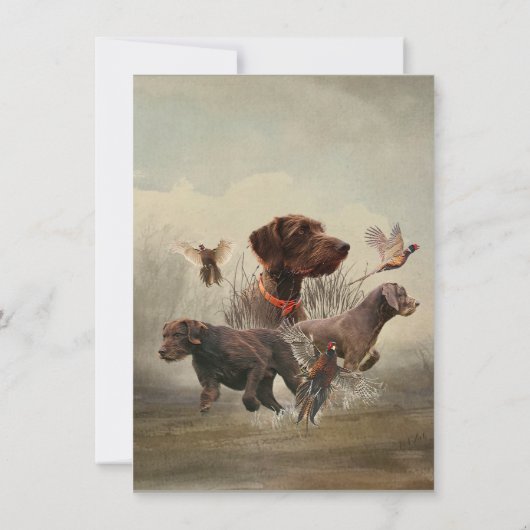 Deutscher Drahthaar Pointer, Jagdkarte Karte (Rückseite)