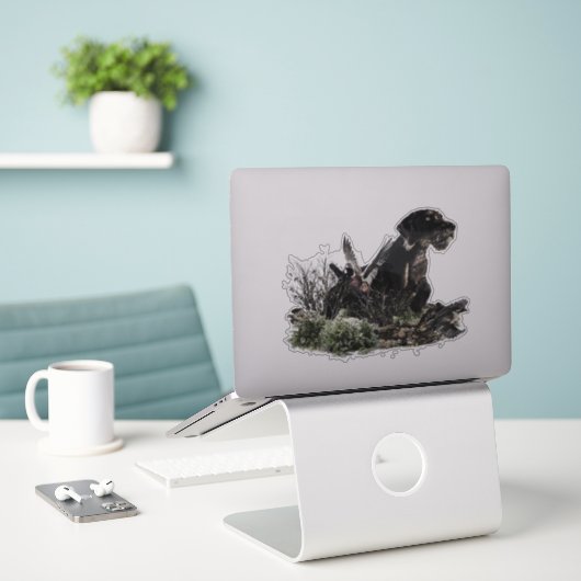 Deutscher Drahthaar Pointer Sticker (Laptop auf Schreibtisch)