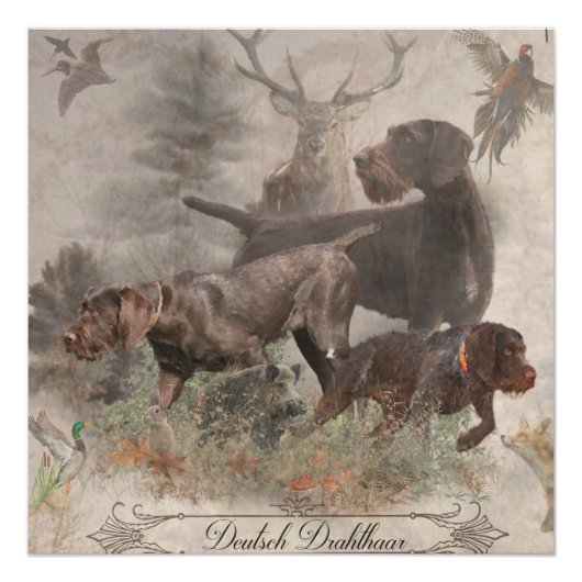 Deutscher Drahthaar Pointer Tapestry Poster (Vorderseite)