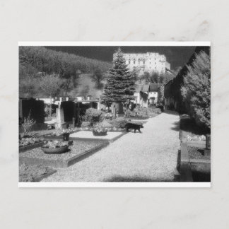 Deutscher Friedhof mit schwarzer Katze, die durch Postkarte