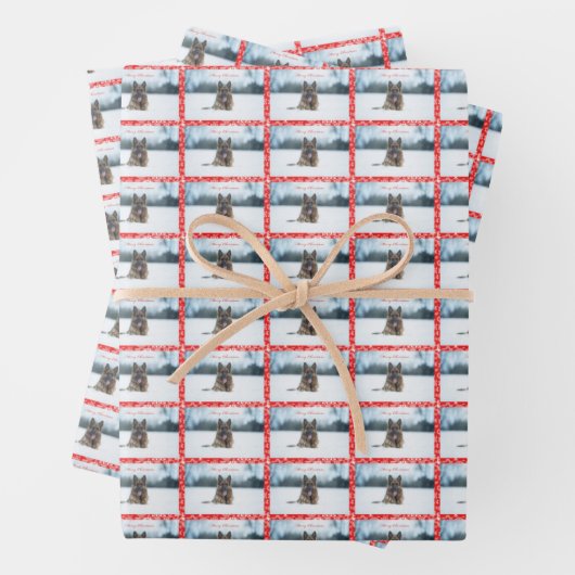 Deutscher Hirte 19" x 29" Faltpapierblätter. Geschenkpapier Set (Beispiel)