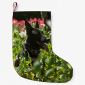 Deutscher Hirte auf einem Feld Kleiner Weihnachtsstrumpf (Vorderseite)