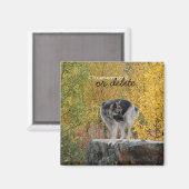 Deutscher Hirte auf einem Felsen; anpassbar Magnet (Vorderseite/Rückseite)