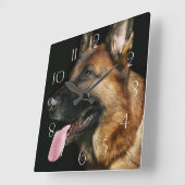 Deutscher Hirte auf schwarzem Hintergrund Quadratische Wanduhr (Winkel)