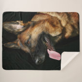 Deutscher Hirte auf schwarzem Hintergrund Sherpadecke (Vorderseite (Horizontal))