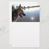 Deutscher Hirte/Bewundern der Aussicht Briefpapier (Vorne/Hinten)