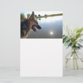 Deutscher Hirte/Bewundern der Aussicht Briefpapier (Stehend Vorderseite)