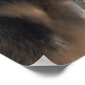 Deutscher Hirte/Bewundern der Aussicht Poster (Ecke)