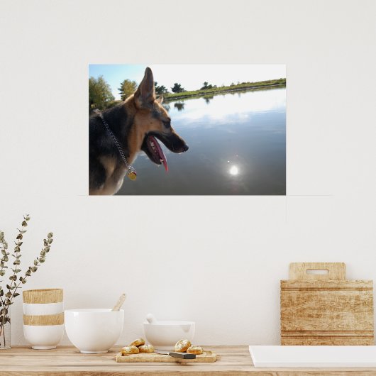 Deutscher Hirte/Bewundern der Aussicht Poster (Küche)