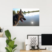 Deutscher Hirte/Bewundern der Aussicht Poster (Heimbüro)