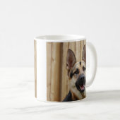 Deutscher Hirte, der durch Holzzaun sitzt Kaffeetasse (VorderseiteRechts)