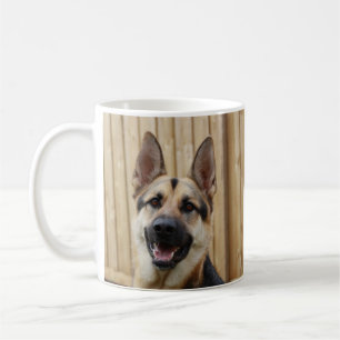 Deutscher Hirte, der durch Holzzaun sitzt Kaffeetasse
