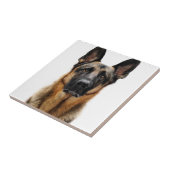 Deutscher Hirte Fliese (Seite)