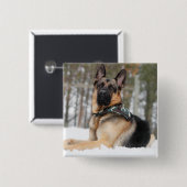 Deutscher Hirte im Schnee Button (Vorne & Hinten)