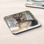 Deutscher Hirte im Schnee Getränkeuntersetzer (Linke Seite)