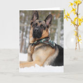 Deutscher Hirte im Schnee Karte (Gelbe Blume)