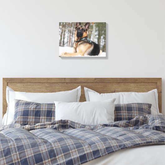 Deutscher Hirte im Schnee Leinwanddruck (Insitu (Schlafzimmer))