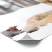 Deutscher Hirte im Schnee Poster (Ecke)