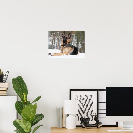 Deutscher Hirte im Schnee Poster (Heimbüro)