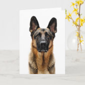 Deutscher Hirte Karte (Gelbe Blume)