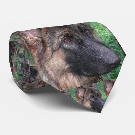 deutscher Hirte Krawatte (Gerollt)