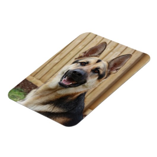 Deutscher Hirte Magnet (Linke Seite)