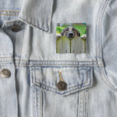 Deutscher Hirte mit Blick auf den Zaun Button (Beispiel)