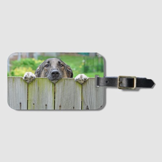 Deutscher Hirte mit Blick auf Zaun Gepäckanhänger (Vorderseite (Horizontal))