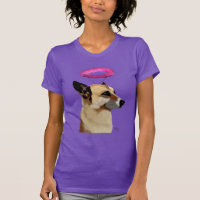 Deutscher Hirte mit rosa Halo