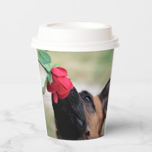 deutscher Hirte mit Rose Pappbecher (Vorderseite)