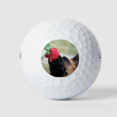 Deutscher Hirte mit Rote Rose Golfball (Vorderseite)
