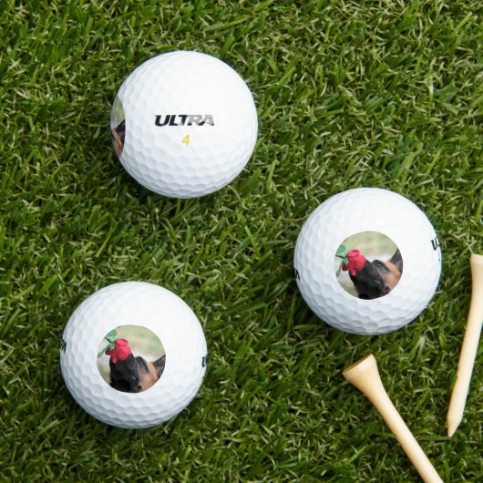Deutscher Hirte mit Rote Rose Golfball (Insitu Gras)