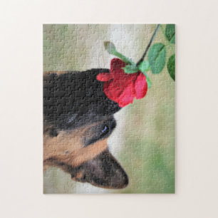 Deutscher Hirte mit Rote Rose Puzzle