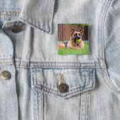 Deutscher Hirte mit Tennisball Button (Beispiel)