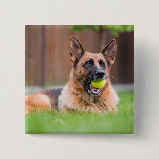 Deutscher Hirte mit Tennisball Button (Vorderseite)