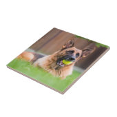 Deutscher Hirte mit Tennisball Fliese (Seite)