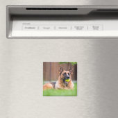 Deutscher Hirte mit Tennisball Magnet (In Situ (Geschirrspüler))