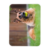 Deutscher Hirte mit Tennisball Magnet (Vertikal)