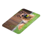 Deutscher Hirte mit Tennisball Magnet (Linke Seite)