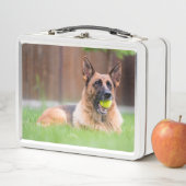 Deutscher Hirte mit Tennisball Metall Brotdose (Beispiel)