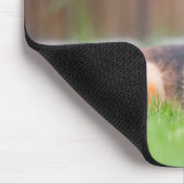 Deutscher Hirte mit Tennisball Mousepad (Ecke)