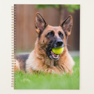 Deutscher Hirte mit Tennisball Planer