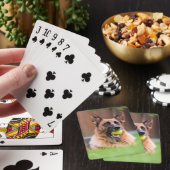 Deutscher Hirte mit Tennisball Spielkarten (In Situ)