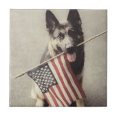 Deutscher Hirte mit US-Flagge Fliese (Vorderseite)