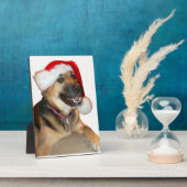 Deutscher Hirte mit Weihnachtsmannmütze Fotoplatte (Seite)