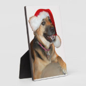 Deutscher Hirte mit Weihnachtsmannmütze Fotoplatte (Seite)